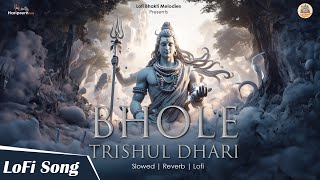 Bhole Trishuldhari  Lofi Version भोले त्रिशूल धारी  Slowed amp Reverb  Shiva Song [upl. by Redyr167]