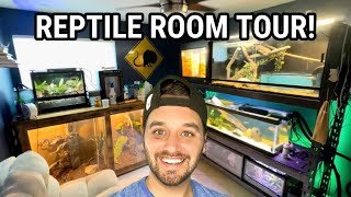 REPTILE ROOM TOUR  September 2023 [upl. by Barta]