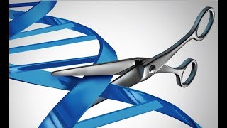 CRISPR Cas9 Así se cortan y pegan genes [upl. by Lrigybab]