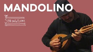 Mandolino [upl. by Landrum324]