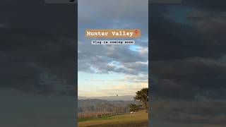 Lovedale Hunter Valley travelvlog huntervalley vinyard australia travelaustralia [upl. by Atinaej]