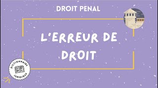 ERREUR DE DROIT en droit pénal 🔤 [upl. by Ligriv]