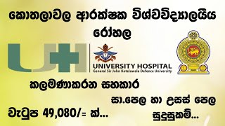 KDU Hospital Vacancies  Management Assistant Jobs  Shan Creation  Government Job  After AL Jobs [upl. by Katerine4]