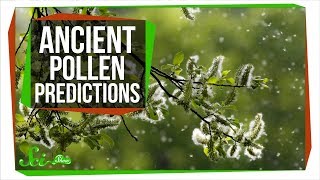 How Ancient Pollen Can Predict The Future [upl. by Hgielak]