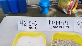 Types of fertilizers commonly used and stages ng pag apply ng fertilizer [upl. by Haggerty867]