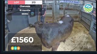 Cattle Sale Market Report 872024 [upl. by Dranel]