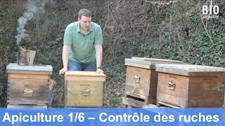 L’apiculture bio au cours de l’année – Contrôle des ruches partie 16 [upl. by Aniram]