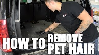 How to Remove Pet Hair From Your Car [upl. by Giovanna625]