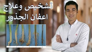 الخلاصة فى التشخيص والمكافحة الكيميائية لاعفان الجذور [upl. by Lehsar18]