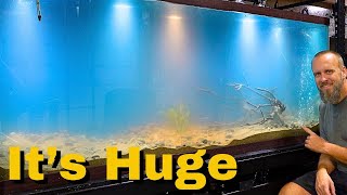 I Bought a Giant Aquarium Now What [upl. by Amandi]