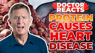 NEW STUDY Shows Protein Causes HEART DISEASE  Doctor Reacts [upl. by Renault623]