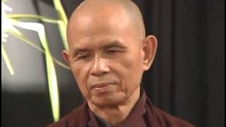 Looking Deeply Into The Nature of Things Thich Nhat Hanh [upl. by Nysila]