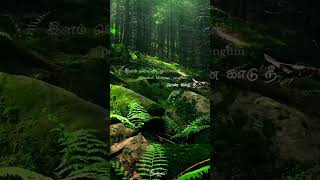 🍂💫Nadu kaatril thanimai vandhadhae💔🙁U1 Song🪄Whatsapp Status🎶🎧Sarvam💖 [upl. by Baiss]