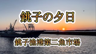 【銚子の夕日 銚子漁港第二魚市場】 [upl. by Hesky]