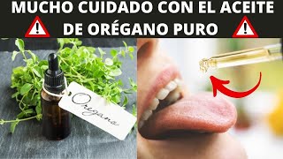 Cómo Tomar ACEITE DE ORÉGANO de Forma Segura ¡Mucho Cuidado 🔥🌿 [upl. by Brennen]