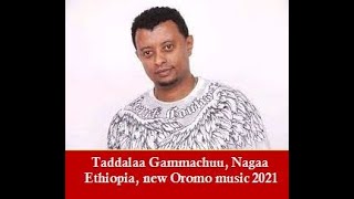 Taddalaa Gammachuu  Nagaa  New Ethiopian Oromo Music 2021 [upl. by Spindell]