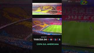 MOSAICO SURREAL DA TORCIDA DO FORTALEZA NA Copa SulAmericana [upl. by Clemen]