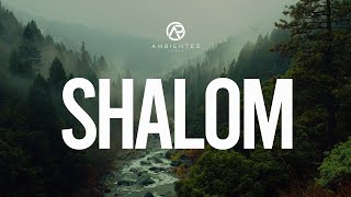 Shalom  Adoración Instrumental  Ambientes de Paz [upl. by Ahusoj98]