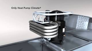 Winterhalter Conveyor dishwasher  Heat Pump [upl. by Ikoek447]