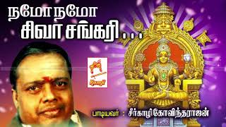 Seergali Govindarajan Devotional Song Namo Namo Siva Sankari நமோ நமோ சிவ சங்கரி [upl. by Luo]