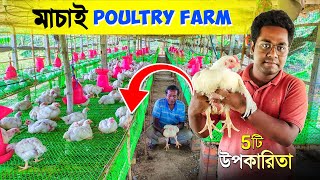 মাচার উপর পোল্ট্রি ফার্ম করার 5টি লাভ  Desi Poultry Farm  Chicken Farm  Broiler Farm in India [upl. by Saretta]