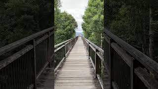 Skywalk Dorrigo National Park NSW over the rainforest canopy [upl. by Tersina]