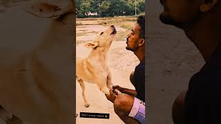 Dono ka Sur tal ek Hai new comedy video trending funny short viral reels Alok rajput 7273😂🙏 [upl. by Cerell190]