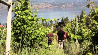 BC Winegrowers Series  Summerhill Pyramid Winery [upl. by Iturhs738]