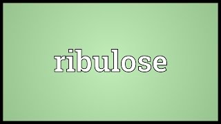 Ribulose Meaning [upl. by Rubel]