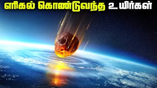 உலகிற்கு உயிர்களை கொடுத்த எரிகல்  Panspermia [upl. by Asirap775]