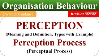 Meaning of Perception perception process perceptual process ob organisational behaviour [upl. by Takken]