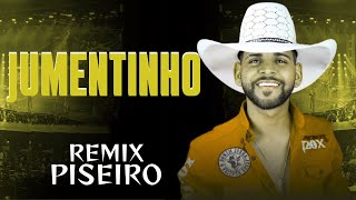 Jumentinho Remix Piseiro Guilherme Silva [upl. by Okikuy356]