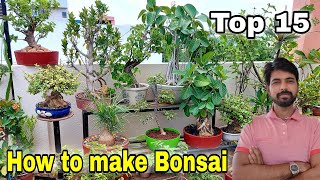 15 Easy plant Bonsai  How to make Bonsai  The One Page [upl. by Xer]