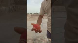 How To Doosra Bowl In Cricket With Tennis Ball [upl. by Shulamith]