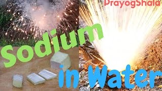 PrayogShala  Amazing Metal Sodium Explodes in Water  Sodium Reacts with water Experiment  Hindi [upl. by Ahsinaj127]