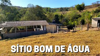 SÍTIO DE 43 HECTARES À VENDA EM PRATÁPOLIS  MG VALOR 250 MIL [upl. by Ladnek]