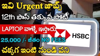 HSBC Work From Home Jobs  Work from home jobs in telugu  Freshers Jobs  Jobs Guruvu [upl. by Radferd]