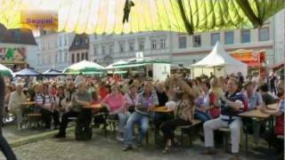 Die Pingo Teddys beim Stadtfest 2011 in Grimma wmv [upl. by Htebazie]