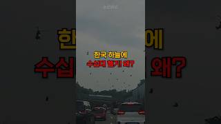 한국 상공 수십대 헬기가 나타난 이유 [upl. by Weisbrodt]