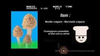 Exposition mycologie et botanique 2024 trailer [upl. by Nahtanaj]