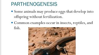 Parthenogenesis types and Significance [upl. by Alieka]