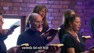 Som liljan på sin äng psalm 798 [upl. by Sonnnie]