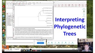 Interpreting phylogenetic trees [upl. by Yatnuahs]