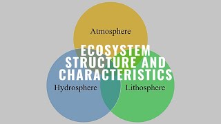 002 Ecosystem Structure and Characteristics Ecology Ecosystem [upl. by Kcirdes]