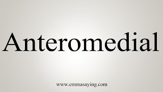 How To Say Anteromedial [upl. by Ttezzil]