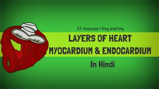 Myocardium and Endocardium In hindi [upl. by Nestor]