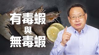 你吃的蝦中竟然可能含有毒素！怎麼挑選少毒無毒的蝦？ [upl. by Lothar]