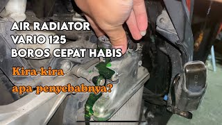 Kenapa Air Radiator Vario Boros  Honda Motor Matic [upl. by Nylarak94]