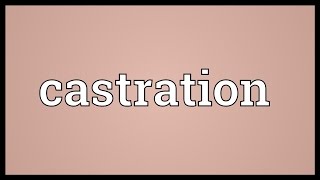 Castration Meaning [upl. by Shaver28]