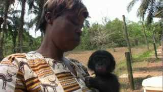 Lola ya Bonobo [upl. by Munafo]